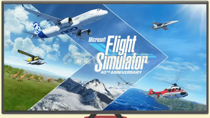 Download Microsoft Flight Simulator