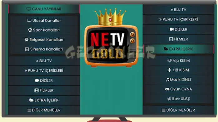 Download NETV Gold APK