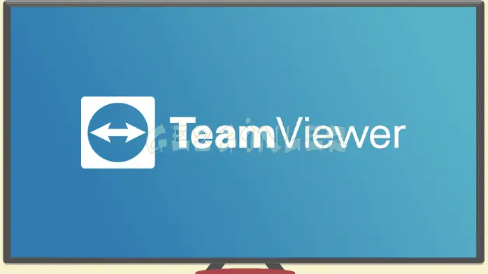 Gezginler teamviewer indir full