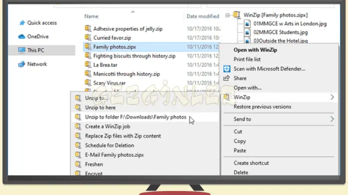 WinZip İndir Gezginler Free