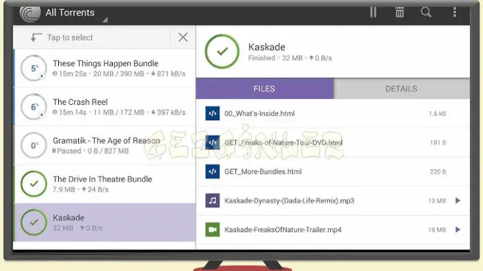 BitTorrent Pro Free Download