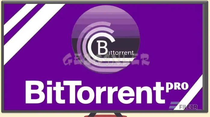 Download BitTorrent Pro