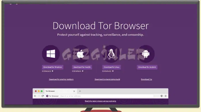 Download Tor Browser Free