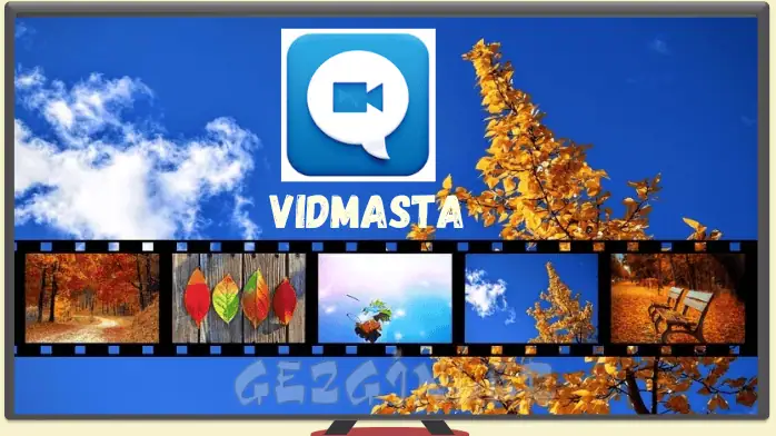 VidMasta İndir Film Indirme Programı