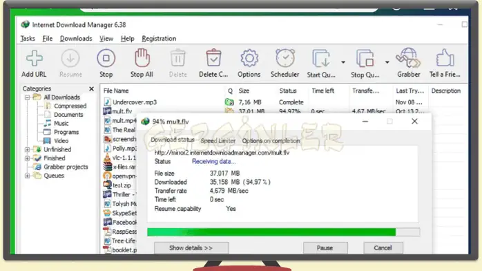 indir internet download manager indir pc