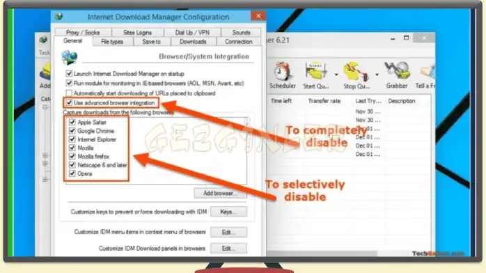 indir internet download manager indir