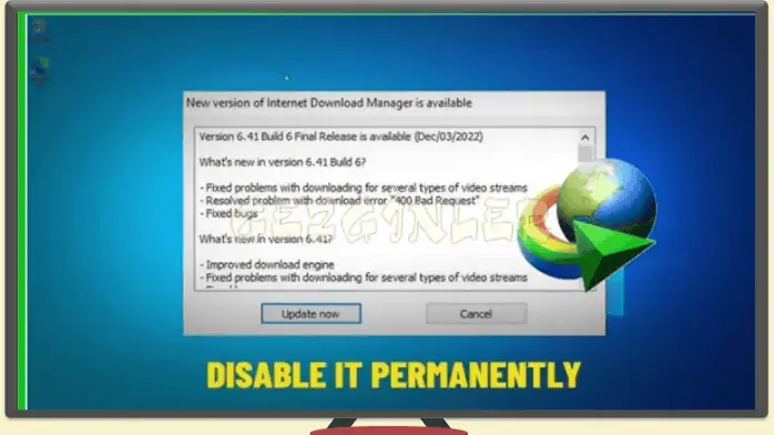 internet download manager indir pc